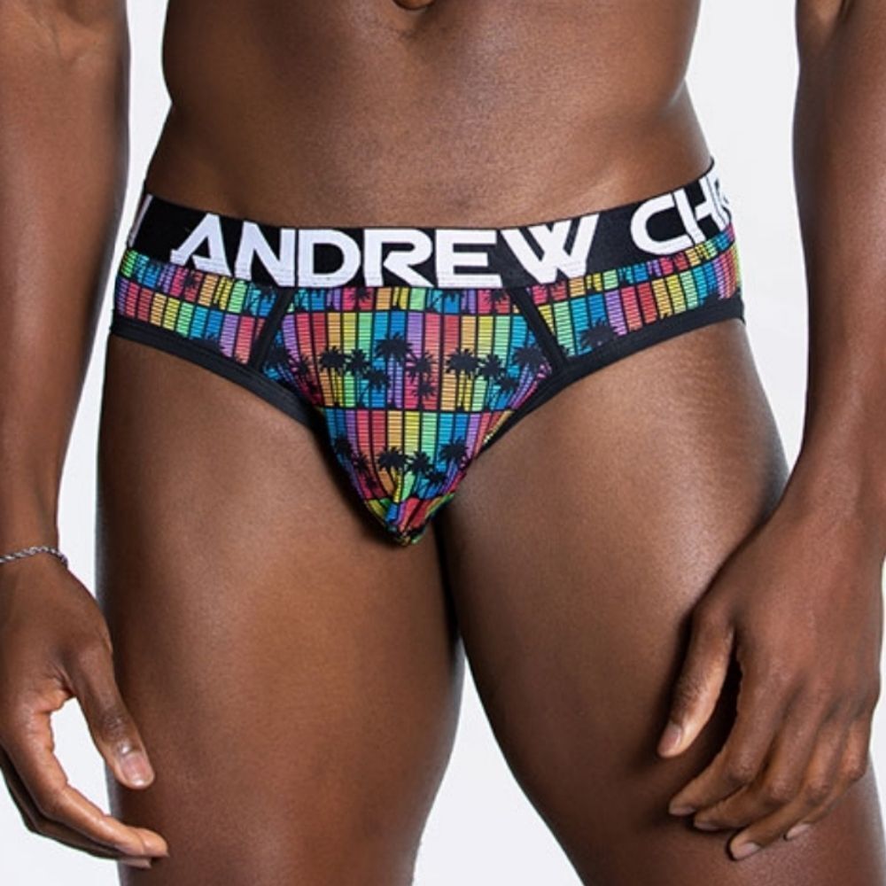Andrew Christian Men's Disco Palms Frame Jock Brief Large #J